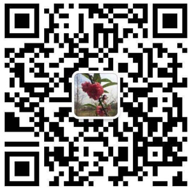 东莞九游会机械有限公司
